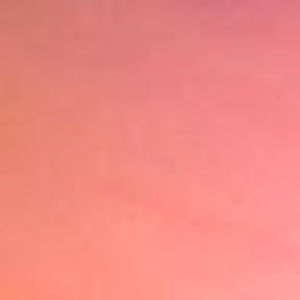 Meet your Posher, Devon